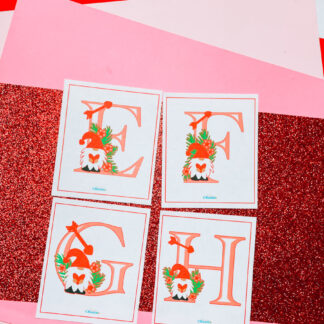 Valentine's Gnome Alphabet Flash Cards