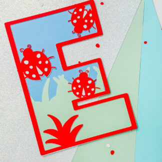 Ladybird Alphabet and Number Set 